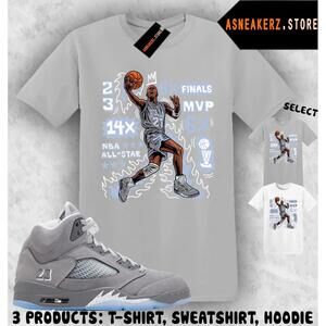 Tee Shirt Matching Aj 5 Wolf Grey 2026 To Match Mj Flair 23 T-Shirt